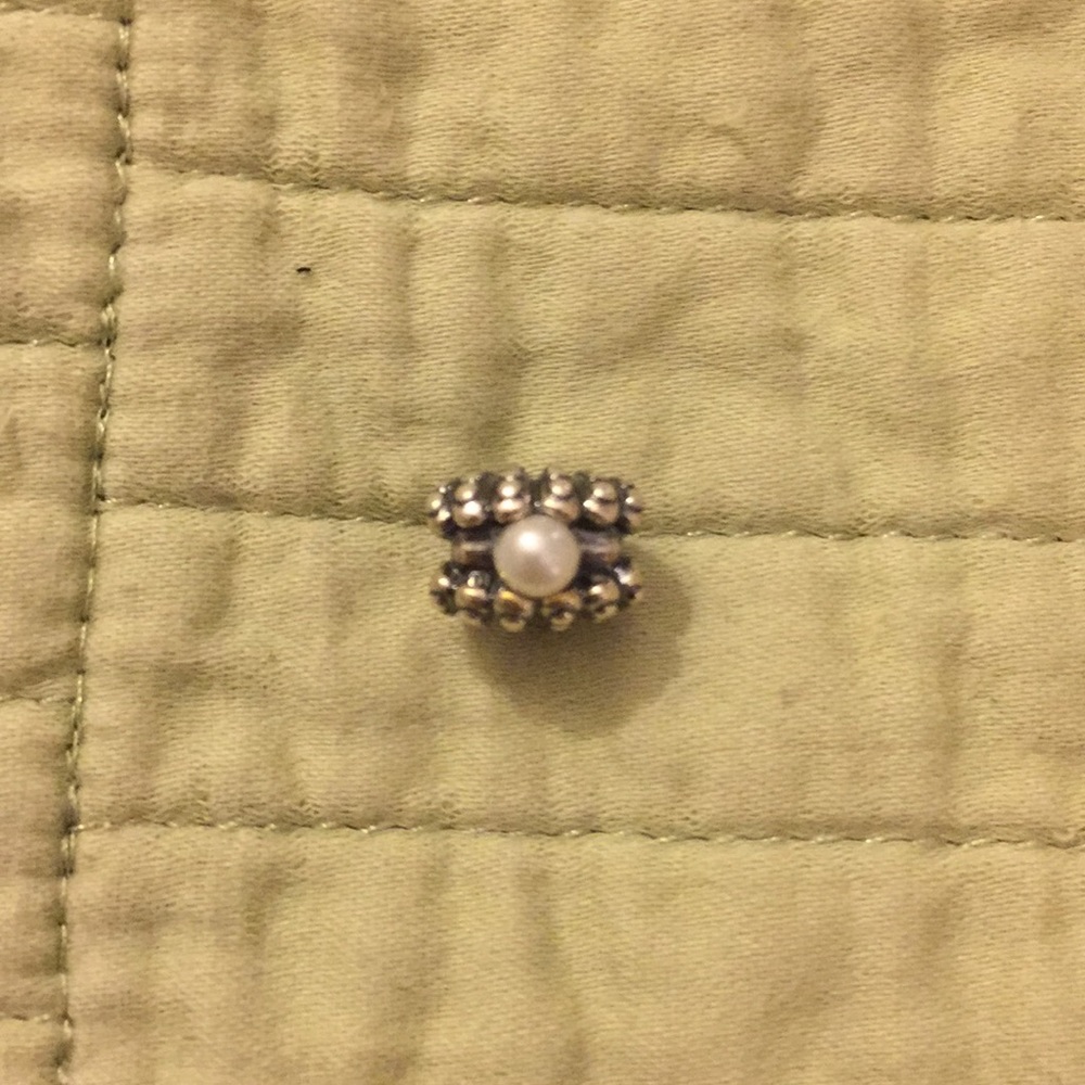 Oyster/w Pearl Pandora Charm